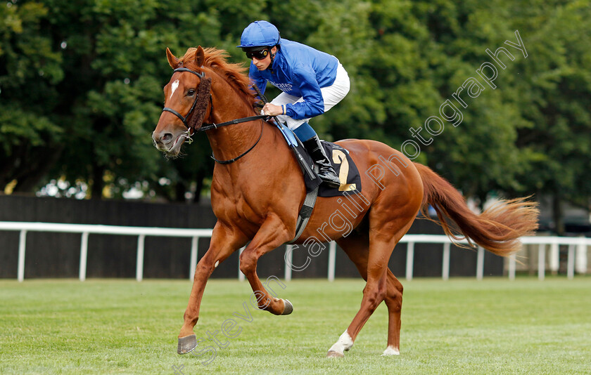 One-Nation-0001 
 ONE NATION (William Buick) winner of The Join Racing TV Now Nursery
Newmarket 22 Jul 2022 - Pic Steven Cargill / Racingfotos.com