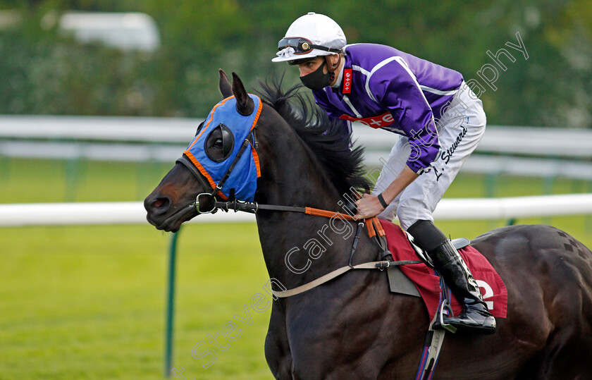 Dark-Defender-0002 
 DARK DEFENDER (Louis Steward)
Haydock 28 May 2021 - Pic Steven Cargill / Racingfotos.com