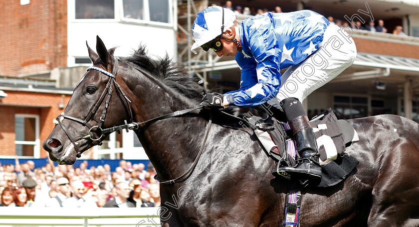 Qarasu-0006 
 QARASU (Jason Watson) wins The Energy Check Handicap Div 1
Newbury 17 Aug 2019 - Pic Steven Cargill / Racingfotos.com