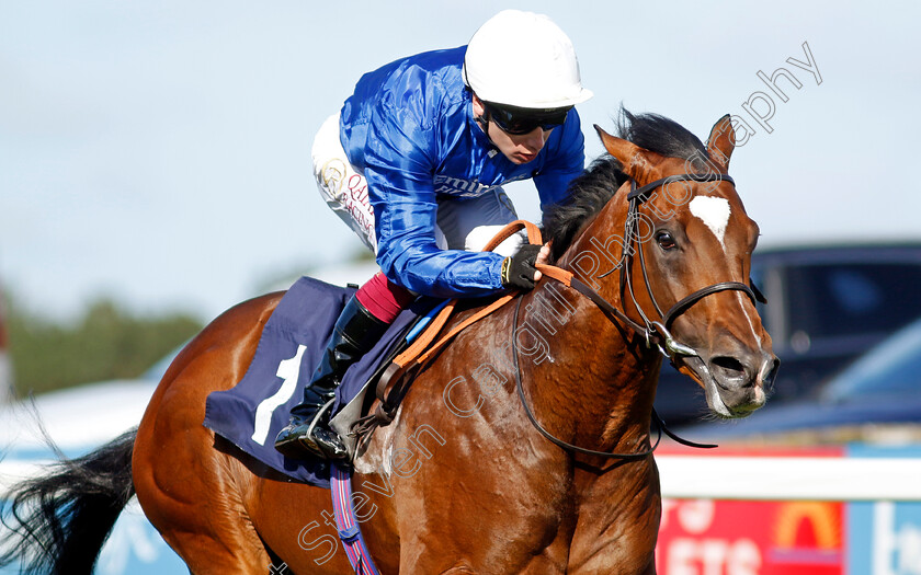 Midnight-Thunder-0001 
 MIDNIGHT THUNDER (Oisin Murphy) wins The British Stallion Studs EBF Novice Stakes
Yarmouth 17 Sep 2024 - Pic Steven Cargill / Racingfotos.com