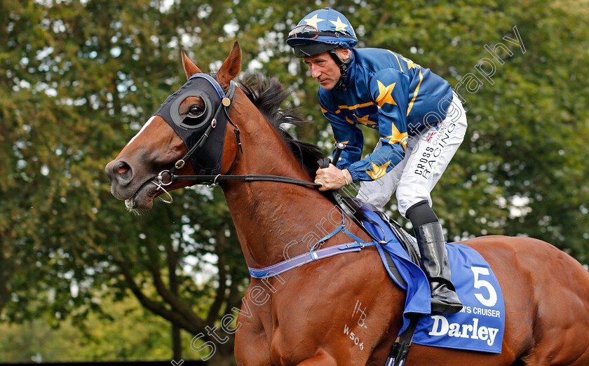 Lim s-Cruiser-0002 
 LIM'S CRUISER (John Egan)
Newmarket 13 Jul 2019 - Pic Steven Cargill / Racingfotos.com