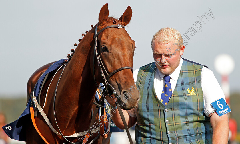 Sir-Ron-Priestley-0001 
 SIR RON PRIESTLEY
Doncaster 14 Sep 2019 - Pic Steven Cargill / Racingfotos.com