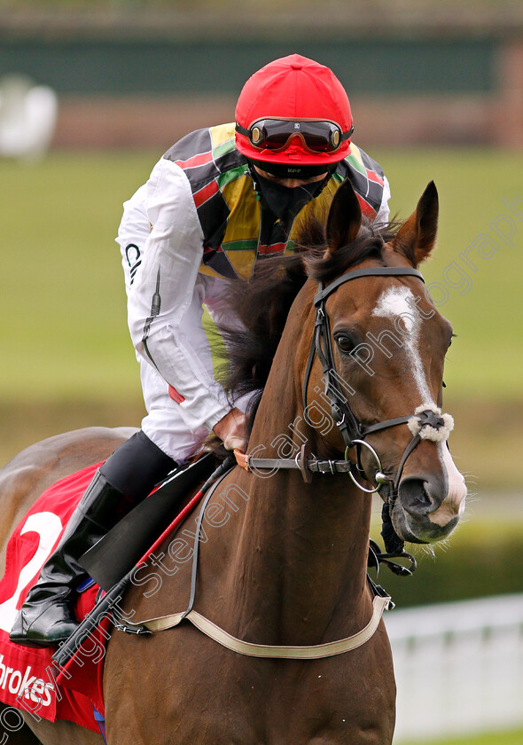 Escobar-0001 
 ESCOBAR (Daniel Tudhope)
Goodwood 30 Aug 2020 - Pic Steven Cargill / Racingfotos.com