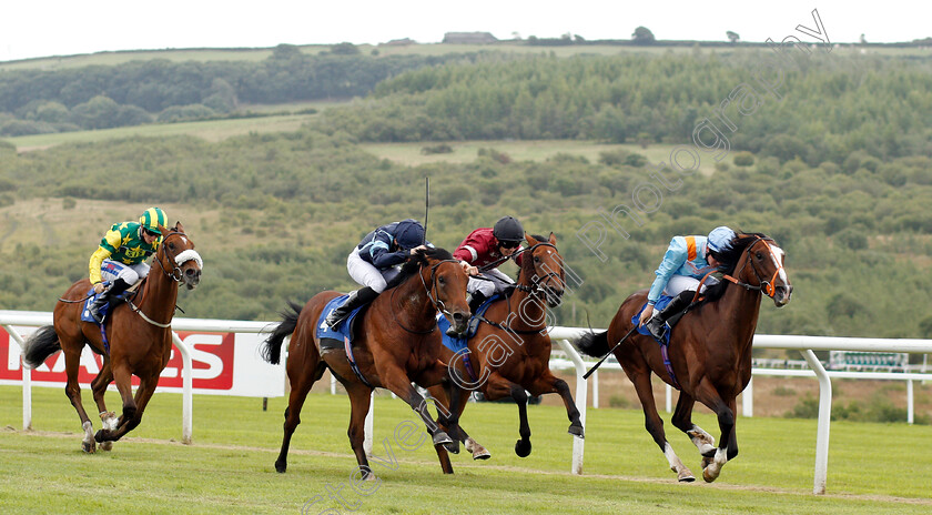 Dark-Jedi-0001 
 DARK JEDI (2nd left, Callum Shepherd) beats LEROY LEROY (right) and HOT TEAM (centre) in The Download The Free At The Races App Novice Stakes
Ffos Las 14 Aug 2018 - Pic Steven Cargill / Racingfotos.com