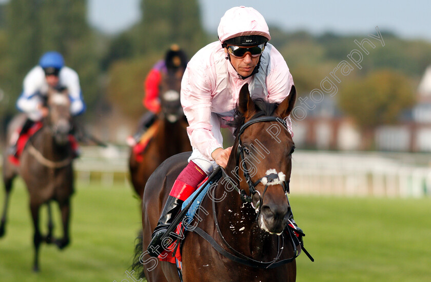 Too-Darn-Hot-0006 
 TOO DARN HOT (Frankie Dettori) wins The Slug And Lettuce 2-4-1 Tanqueray Thursdays EBF Maiden Stakes
Sandown 9 Aug 2018 - Pic Steven Cargill / Racingfotos.com