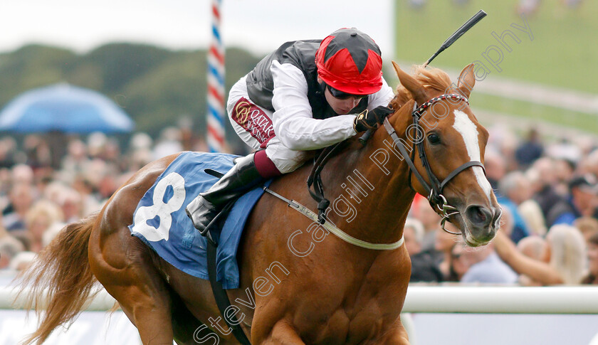 Search-For-A-Song-0007 
 SEARCH FOR A SONG (Oisin Murphy) wins The British EBF & Sir Henry Cecil Galtres Stakes
York 22 Aug 2019 - Pic Steven Cargill / Racingfotos.com