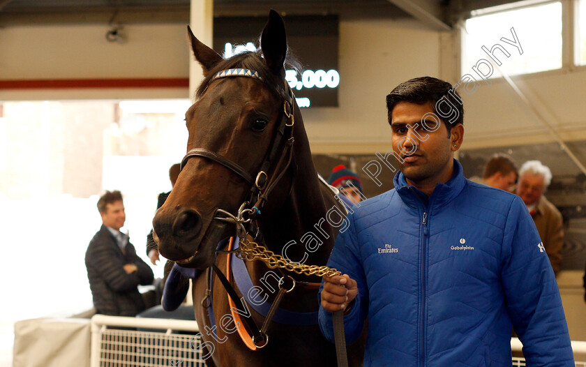 Lot-0098-Wedding-Photo-£25000-0001 
 Lot 098 WEDDING PHOTO selling for £25000 at Tattersalls Ireland Ascot November Sale 9 Nov 2017 - Pic Steven Cargill / Racingfotos.com