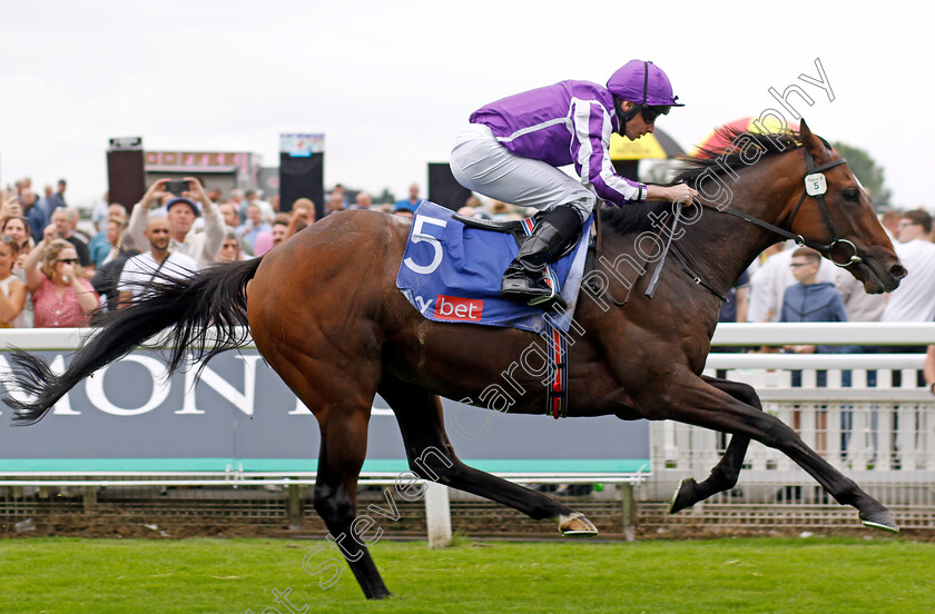 Continuous-0006 
 CONTINUOUS (Ryan Moore) wins The Sky Bet Great Voltigeur Stakes
York 23 Aug 2023 - Pic Steven Cargill / Racingfotos.com