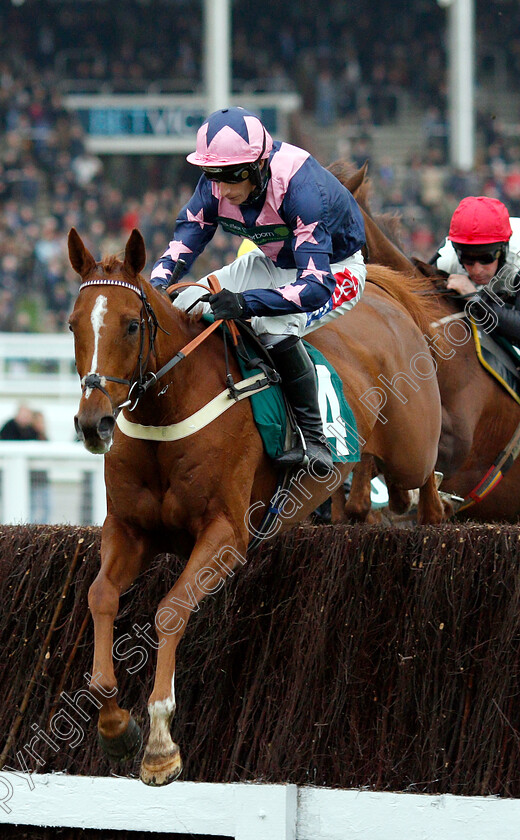 Le-Breuil-0002 
 LE BREUIL (Daryl Jacob)
Cheltenham 16 Nov 2018 - Pic Steven Cargill / Racingfotos.com