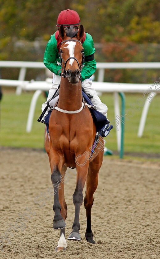 Invite-0001 
 INVITE (Hollie Doyle)
Lingfield 26 Mar 2021 - Pic Steven Cargill / Racingfotos.com