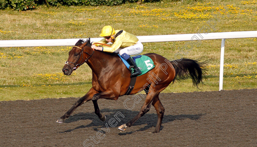 Motawaj-0003 
 MOTAWAJ (David Egan) wins The 32Red Casino Handicap Div1
Kempton 10 Jul 2019 - Pic Steven Cargill / Racingfotos.com