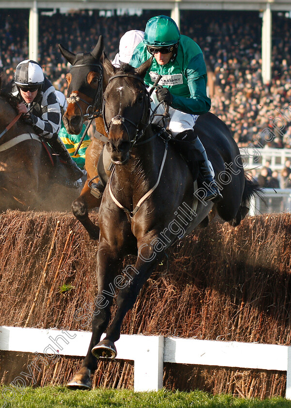 Calett-Mad-0001 
 CALETT MAD (Daryl Jacob)
Cheltenham 17 Nov 2018 - Pic Steven Cargill / Racingfotos.com