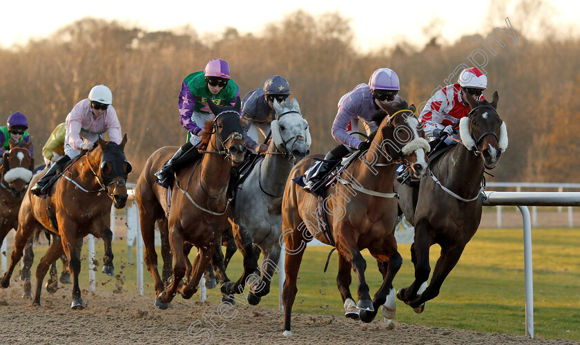 Our-Manekineko-0003 
 OUR MANEKINEKO (left, David Probert) chases the leaders into the straight before winning The Follow Top Tipsters At Sun Racing Handicap from ADVENTUREMAN (right) and LIMERICK LORD (2nd right)
Wolverhampton 26 Feb 2019 - Pic Steven Cargill / Racingfotos.com