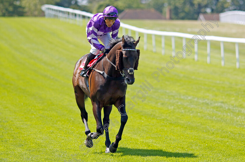 Dubai-Station-0001 
 DUBAI STATION (Sean Levey)
Sandown 7 Jul 2023 - Pic Steven Cargill / Racingfotos.com