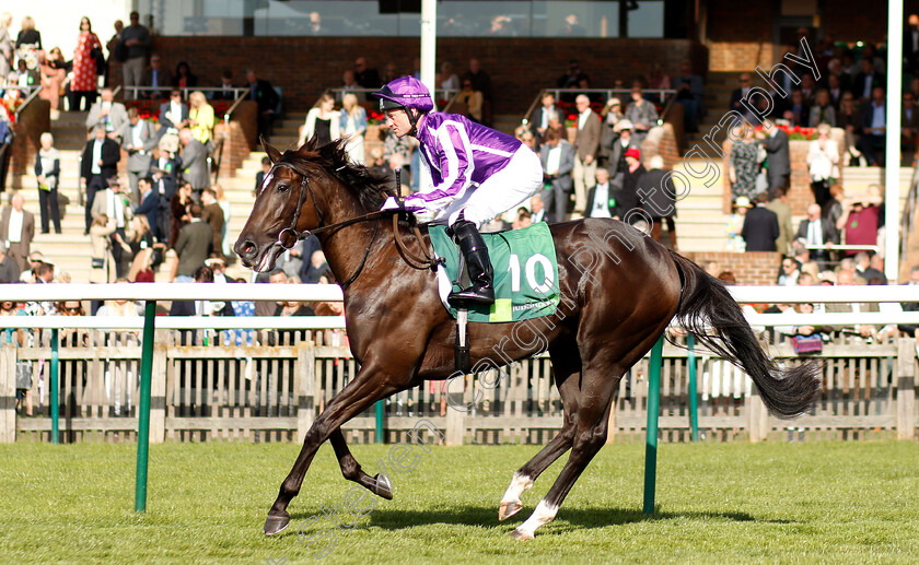 So-Perfect-0001 
 SO PERFECT (Seamie Heffernan)
Newmarket 29 Sep 2018 - Pic Steven Cargill / Racingfotos.com