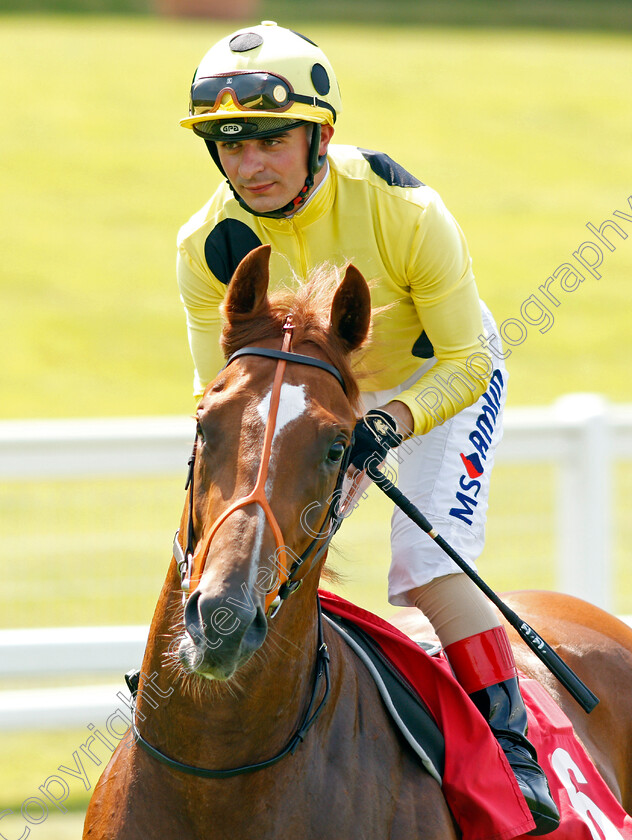 No-Show-0001 
 NO SHOW (Andrea Atzeni)
Sandown 25 Jul 2019 - Pic Steven Cargill / Racingfotos.com