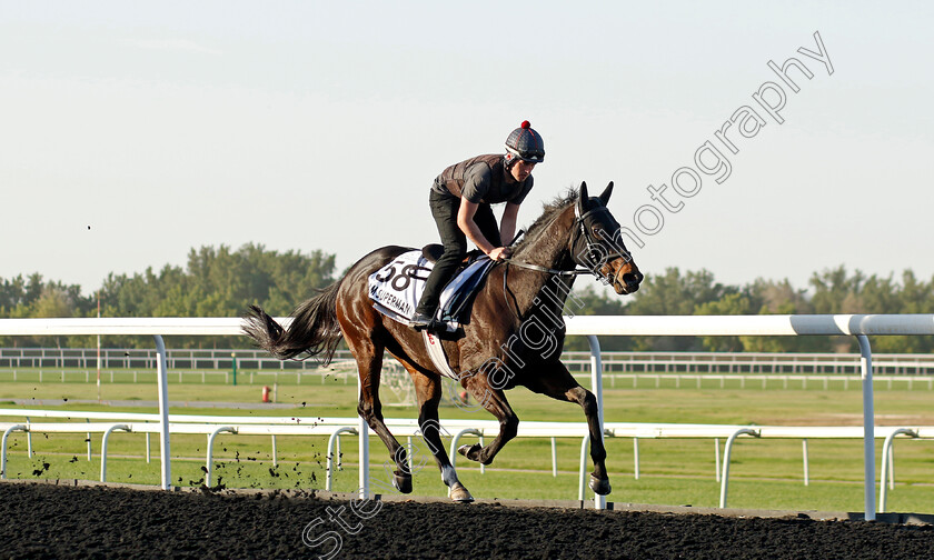 I-Am-Superman-0002 
 I AM SUPERMAN training at the Dubai World Cup Carnival
Meydan 5 Jan 2023 - Pic Steven Cargill / Racingfotos.com