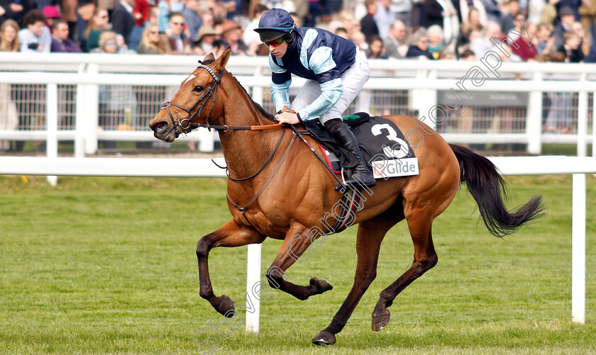 Indefatigable-0004 
 INDEFATIGABLE (Gavin Sheehan) wins The Glide Mares Novices Hurdle
Cheltenham 18 Apr 2019 - Pic Steven Cargill / Racingfotos.com