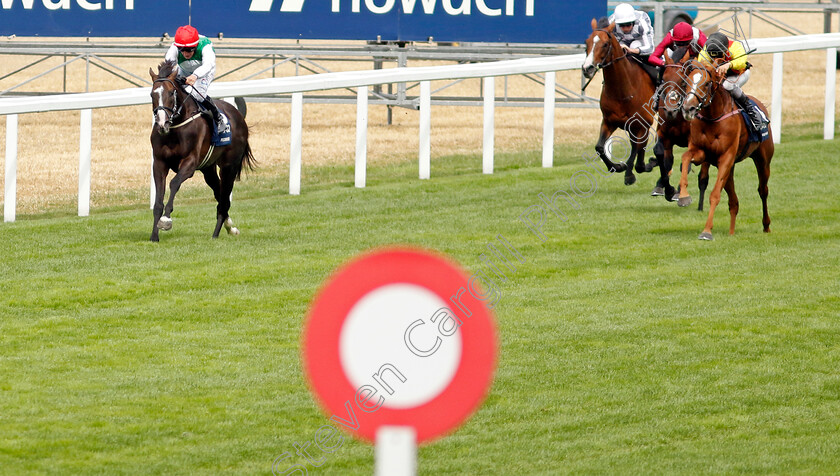 Pyledriver-0006 
 PYLEDRIVER (P J McDonald) beats TORQUATOR TASSO (right) in The King George VI & Queen Elizabeth Qipco Stakes
Ascot 23 Jul 2022 - Pic Steven Cargill / Racingfotos.com