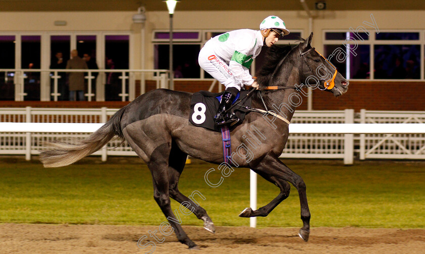 Music-Society-0001 
 MUSIC SOCIETY (Ben Curtis) winner of The totescoop6 £1 Million This Saturday Novice Median Auction Stakes Chelmsford 16 Nov 2017 - pic Steven Cargill / Racingfotos.com