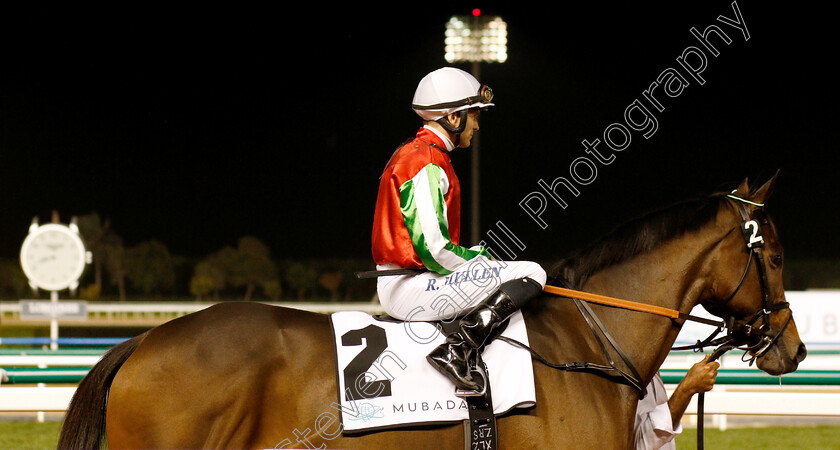 North-America-0001 
 NORTH AMERICA (Richard Mullen) before The Al Maktoum Challenge (Round 1)
Meydan 10 Jan 2019 - Pic Steven Cargill / Racingfotos.com