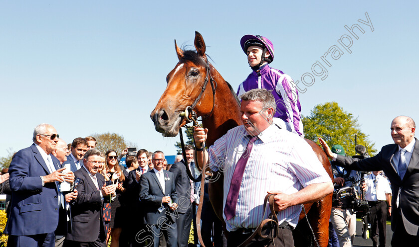 Saxon-Warrior-0021 
 SAXON WARRIOR (Donnacha O'Brien) after The Qipco 2000 Guineas Newmarket 5 May 2018 - Pic Steven Cargill / Racingfotos.com