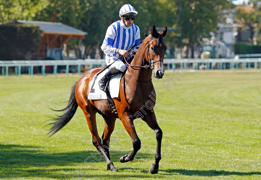 Vicious-Harry-0001 
 VICIOUS HARRY (T Piccone)
Deauville 6 Aug 2022 - Pic Steven Cargill / Racingfotos.com