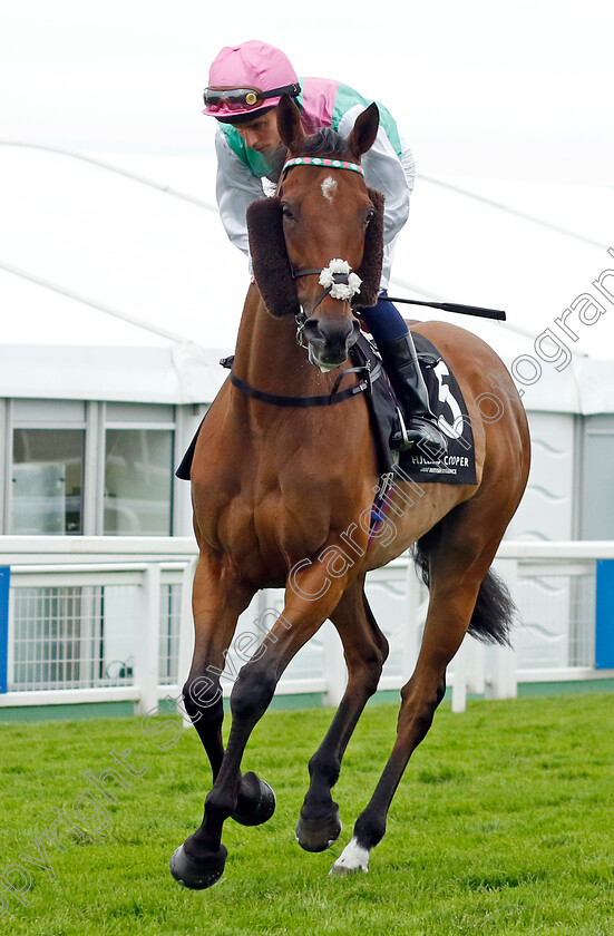 Time-Lock-0001 
 TIME LOCK (William Buick)
Epsom 31 May 2024 - Pic Steven Cargill / Racingfotos.com