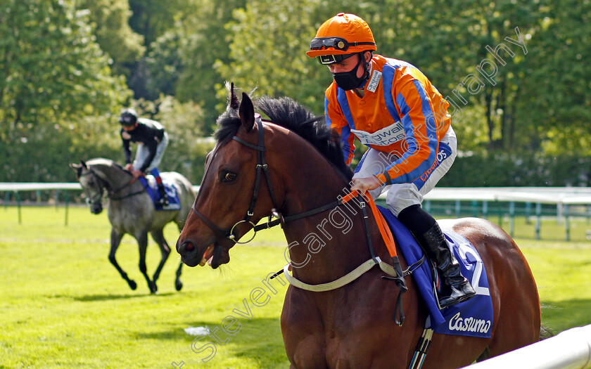 Jabbarockie-0001 
 JABBAROCKIE (Harrison Shaw)
Haydock 22 May 2021 - Pic Steven Cargill / Racingfotos.com