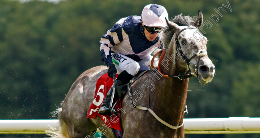 Iron-Lion-0003 
 IRON LION (Jamie Spencer) wins The Betfred Play Fred's £5 Million Handicap
Haydock 8 Jun 2024 - Pic Steven Cargill / Racingfotos.com