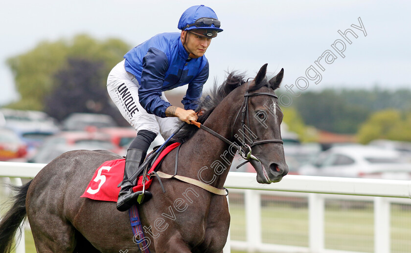 Gray s-Inn-0001 
 GRAY'S INN (Thore Hammer Hansen)
Sandown 27 Jul 2023 - Pic Steven Cargill / Racingfotos.com