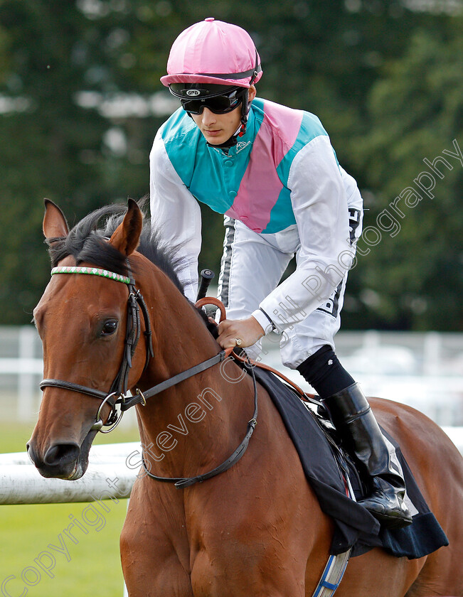 Arabian-Dream-0001 
 ARABIAN DREAM (Harry Bentley)
Newbury 6 Aug 2019 - Pic Steven Cargill / Racingfotos.com