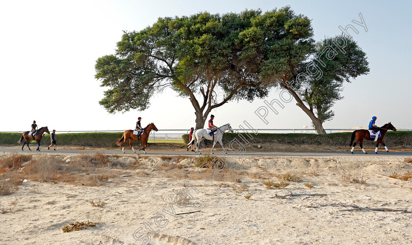 Bahrain-0002 
 (R to L) DREAM CASTLE, LORD GLITTERS, SOVEREIGN and BANGKOK training for the Bahrain International Trophy
Rashid Equestrian & Horseracing Club, Bahrain, 19 Nov 2020 - Pic Steven Cargill / Racingfotos.com