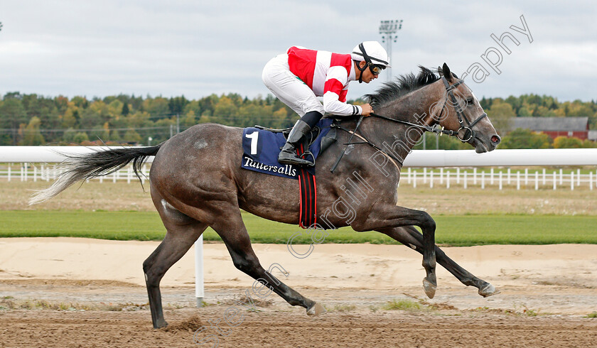 Duca-Di-Como-0005 
 DUCA DI COMO (Elione Chaves) wins The Tattersalls Nickes Minneslopning
Bro Park, Sweden 22 Sep 2019 - Pic Steven Cargill / Racingfotos.com