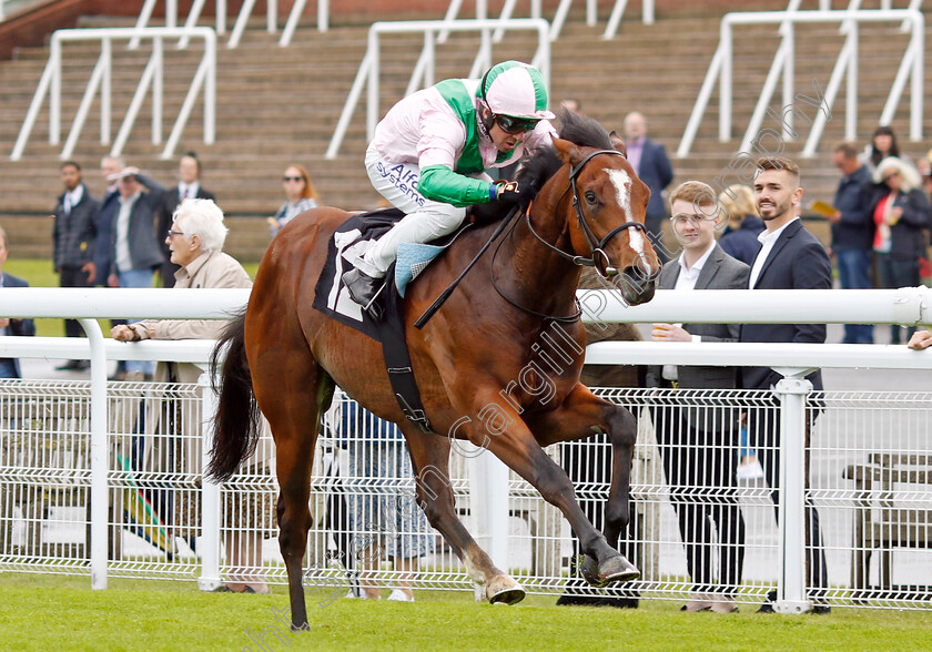 Royal-Scotsman-0004 
 ROYAL SCOTSMAN (Jim Crowley) wins The William Hill Acca Club British EBF Novice Stakes
Goodwood 20 May 2022 - Pic Steven Cargill / Racingfotos.com