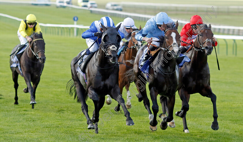 Mutasaabeq-0002 
 MUTASAABEQ (left, Jim Crowley) beats REGAL REALITY (centre) and CHINDIT (right) in The Al Basti Equiworld Dubai Joel Stakes
Newmarket 29 Sep 2023 - Pic Steven Cargill / Racingfotos.com