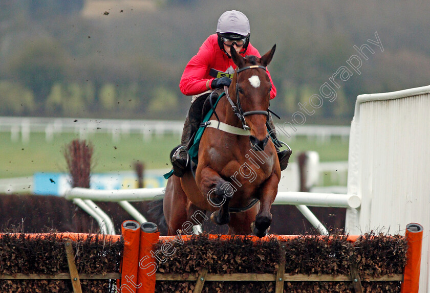 Our-Merlin-0001 
 OUR MERLIN (Harry Cobden) Cheltenham 27 Jan 2018 - Pic Steven Cargill / Racingfotos.com