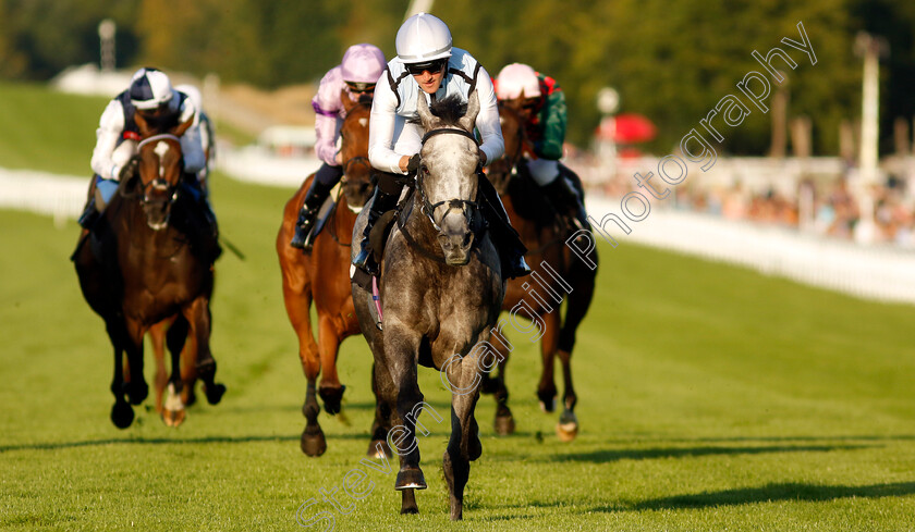 Misty-Dancer-0006 
 MISTY DANCER (Harry Burns) wins The William Hill Pick Your Places Maiden Fillies Stakes
Goodwood 26 Aug 2022 - Pic Steven Cargill / Racingfotos.com