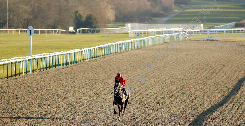 Greybychoice-0005 
 GREYBYCHOICE (Eoin Walsh) wins a walk-over for The Ladbrokes Home Of The Odds Boost Novice Stakes
Lingfield 23 Feb 2019 - Pic Steven Cargill / Racingfotos.com