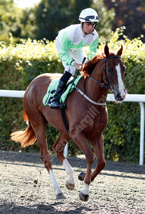 Theydon-Spirit-0001 
 THEYDON SPIRIT (Marc Monaghan)
Kempton 8 Aug 2018 - Pic Steven Cargill / Racingfotos.com