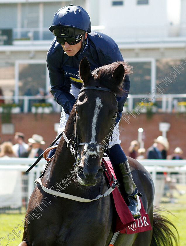 So-Beloved-0001 
 SO BELOVED (Phillip Makin)
Goodwood 31 Jul 2018 - Pic Steven Cargill / Racingfotos.com