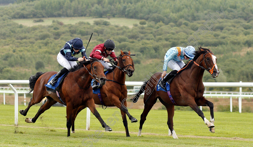 Dark-Jedi-0002 
 DARK JEDI (left, Callum Shepherd) beats LEROY LEROY (right) and HOT TEAM (centre) in The Download The Free At The Races App Novice Stakes
Ffos Las 14 Aug 2018 - Pic Steven Cargill / Racingfotos.com