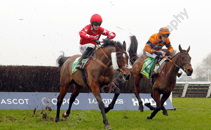 Terresita-0004 
 TERRESITA (right, Gavin Sheehan) beats HITMAN (left) in The Bet365 Handicap Chase
Ascot 18 Jan 2025 - Pic Steven Cargill / Racingfotos.com