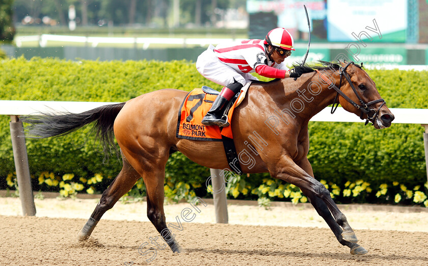 Separationofpowers-0008 
 SEPARATIONOFPOWERS (Jose Ortiz) wins The Bed O'Roses Invitational
Belmont Park USA 7 Jun 2019 - Pic Steven Cargill / Racingfotos.com