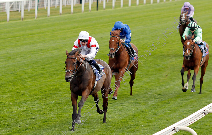 Deauville-Legend-0004 
 DEAUVILLE LEGEND (Daniel Muscutt) wins The Sky Bet Great Voltigeur Stakes
York 17 Aug 2022 - Pic Steven Cargill / Racingfotos.com