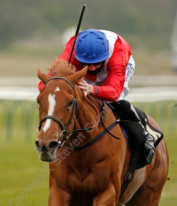 Puy-Mary-0001 
 PUY MARY (Jack Mitchell)
Nottingham 27 Apr 2021 - Pic Steven Cargill / Racingfotos.com