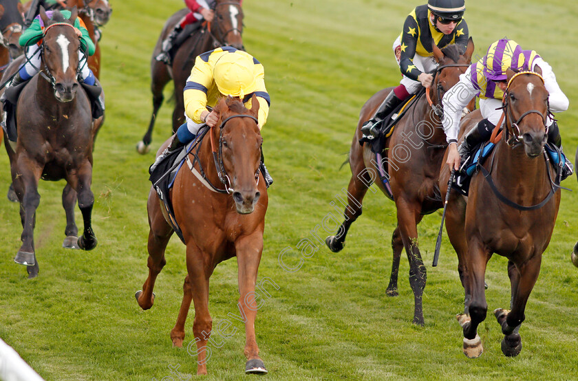 Justanotherbottle-0004 
 JUSTANOTHERBOTTLE (left, William Buick) beats TINTO (right) in The Play 4 To Score At Betway Handicap
Sandown 31 Aug 2019 - Pic Steven Cargill / Racingfotos.com