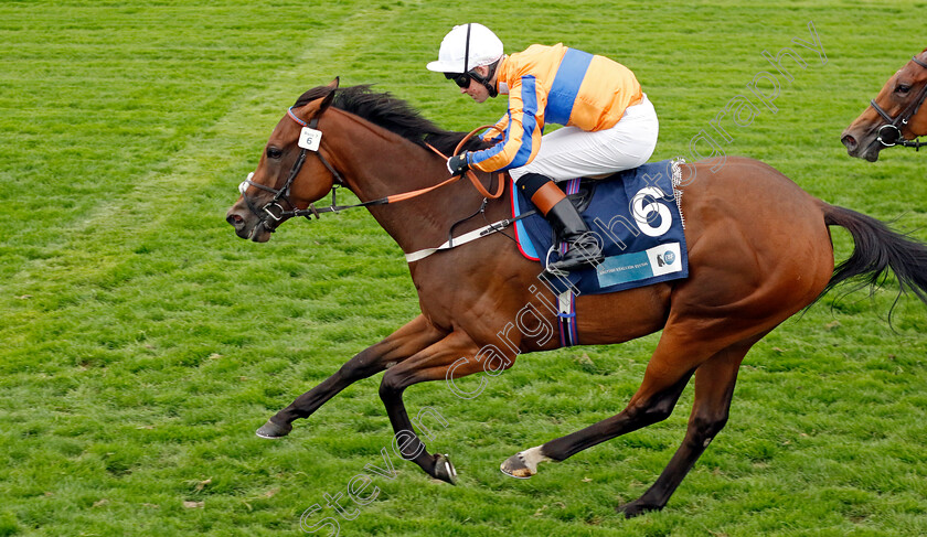 Adaay-In-Asia-0004 
 ADAAY IN ASIA (Dylan Hogan) wins The British Stallion Studs EBF Fillies Handicap
York 18 Aug 2022 - Pic Steven Cargill / Racingfotos.com