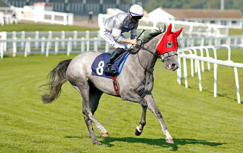 Lyrical-0001 
 LYRICAL (Tom Marquand)
Yarmouth 15 Sep 2020 - Pic Steven Cargill / Racingfotos.com