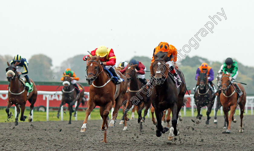 Evening-Hill-0001 
 EVENING HILL (right, Shane Kelly) beats PEACE AND PLENTY (left) in The Matchbook Betting Exchange Handicap Kempton 25 Sep 2017 - Pic Steven Cargill / Racingfotos.com